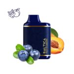 Saltica PEACH BLUEBERRY 6000 Saltica PEACH BLUEBERRY 6000