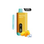 Saltica Mango Ice 10000 Saltica Mango Ice 10000