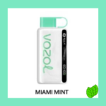VOZOL 12000 MIAMİ MİNT VOZOL 12000 MIAMİ MİNT