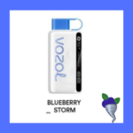 VOZOL 12000 BLUEBERRY STORM VOZOL 12000 BLUEBERRY STORM