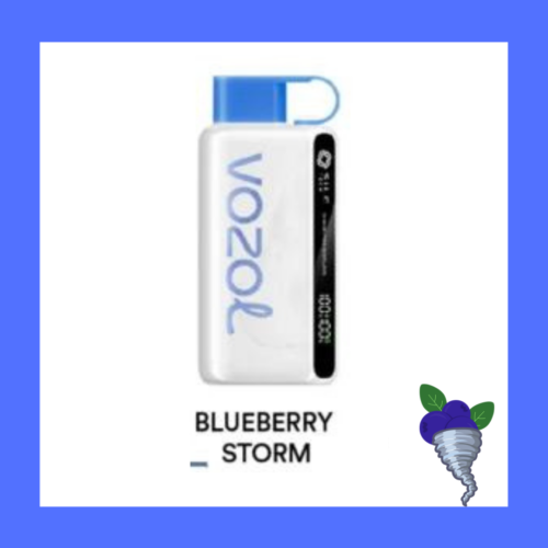 VOZOL 12000 BLUEBERRY STORM VOZOL 12000 BLUEBERRY STORM