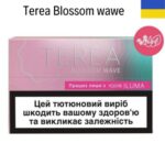 Terea Blossom Wawe Ukranya Terea Blossom Wawe Ukranya